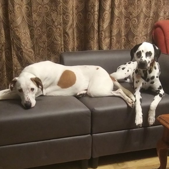 Meet your Posher, Ruth - Picture 7 of 13